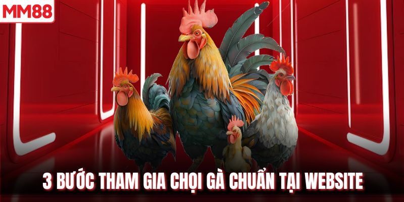 3 bước tham gia chọi gà chuẩn tại website