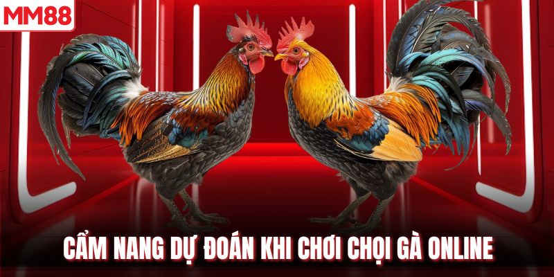 Cẩm nang dự đoán khi chơi chọi gà online