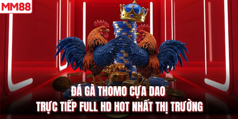 Đá Gà Thomo Cựa Dao Trực Tiếp Full Hd Hot Nhất Thị Trường