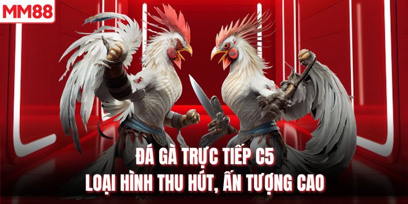 Đá Gà Trực Tiếp C5 - Loại Hình Thu Hút, Ấn Tượng Cao