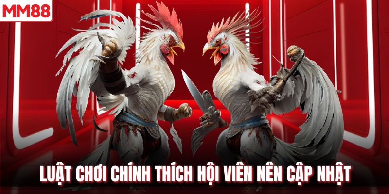 Luật chơi chính thích hội viên nên cập nhật