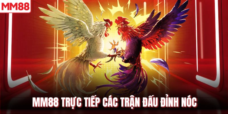 MM88 trực tiếp các trận đấu đỉnh nóc