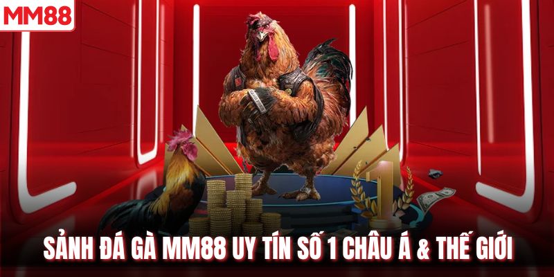 Sảnh đá gà MM88 uy tín số 1 châu Á & thế giới