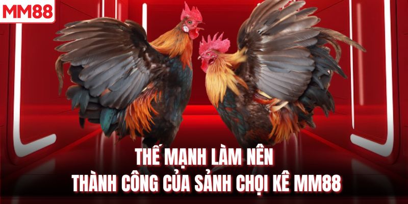 Thế mạnh làm nên thành công của sảnh chọi kê MM88