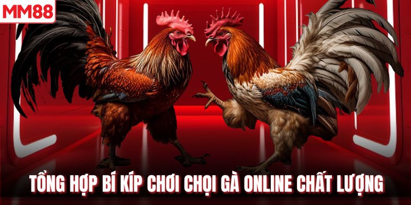Tổng hợp bí kíp chơi chọi gà online chất lượng