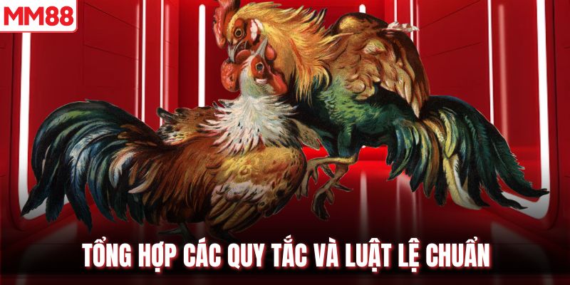 Tổng hợp các quy tắc và luật lệ chuẩn